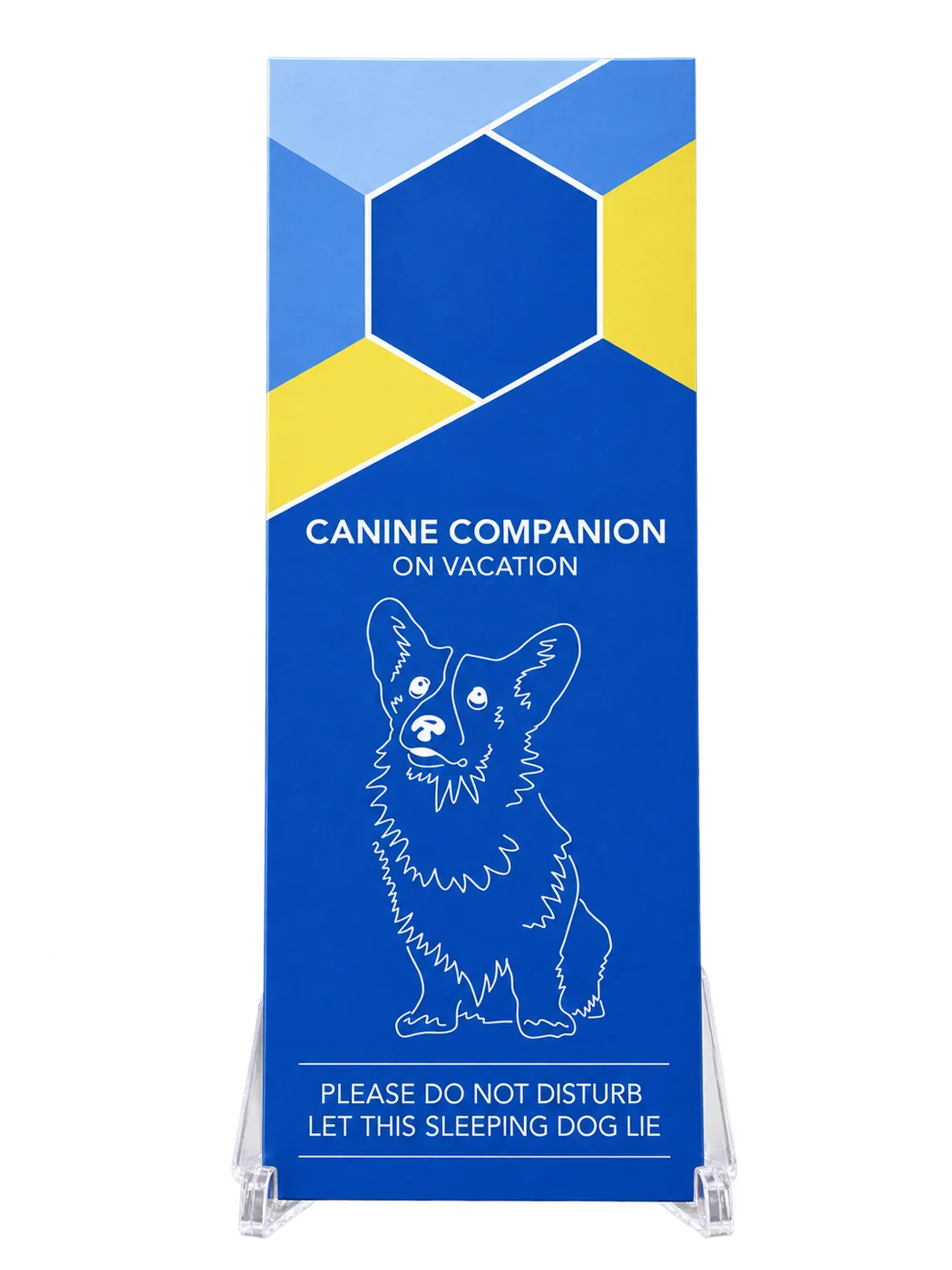Dog-friendly DND hanger custom-design studio example